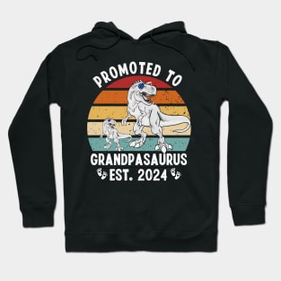 PROMOTED TO GRANDPASAURUS BABY ANNOUNCEMENT 2024 Hoodie